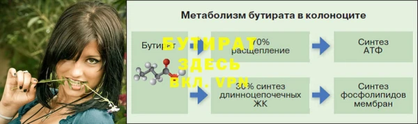 ПСИЛОЦИБИНОВЫЕ ГРИБЫ Горно-Алтайск